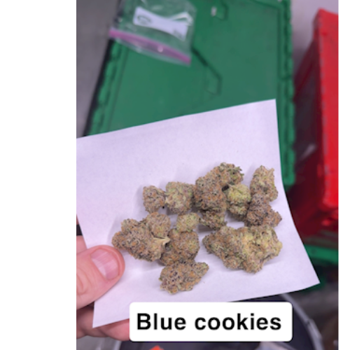 BLUE COOKIES - 7