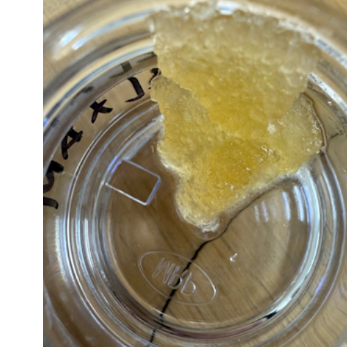 (I) Ice Cream Cake X Animal Mintz-1G