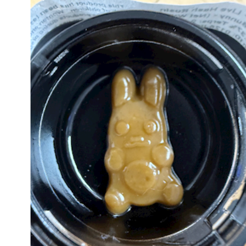 Jelly Donuts - Hashimals - Live Hash Rosin - Bunny - 1g