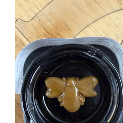 Jelly Donuts - Hashimals - Live Hash Rosin - Bumble Bee - 1g