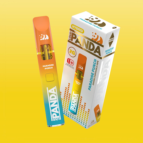 Loud Panda - Paradise Punch - 2G